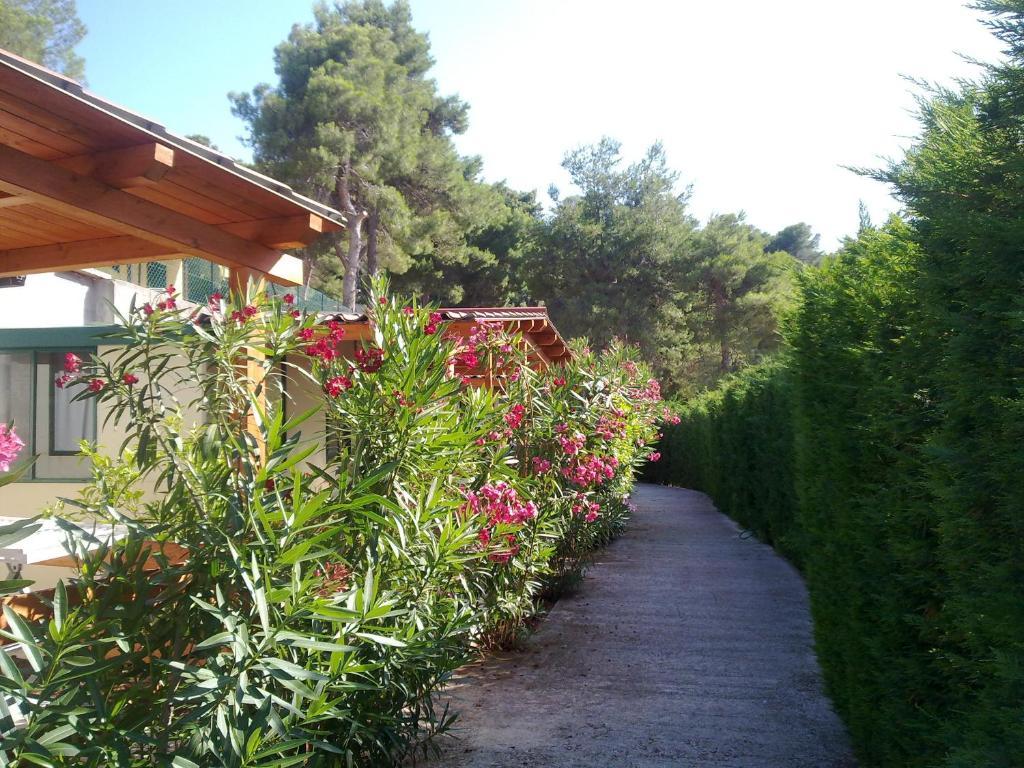 Villaggio Club Baia Di Paradiso Peschici