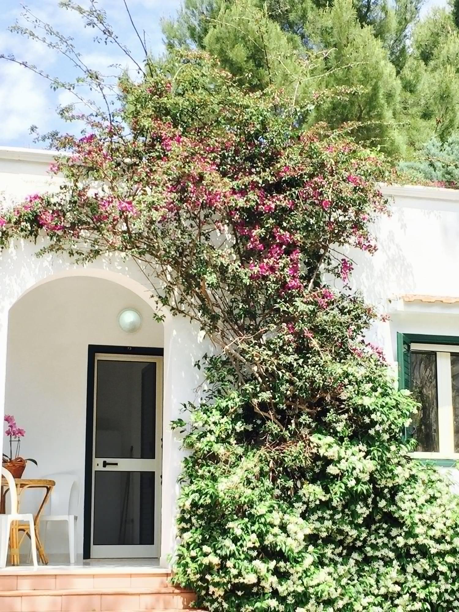 Villaggio Club Baia Di Paradiso Aldeamento Turístico Vieste