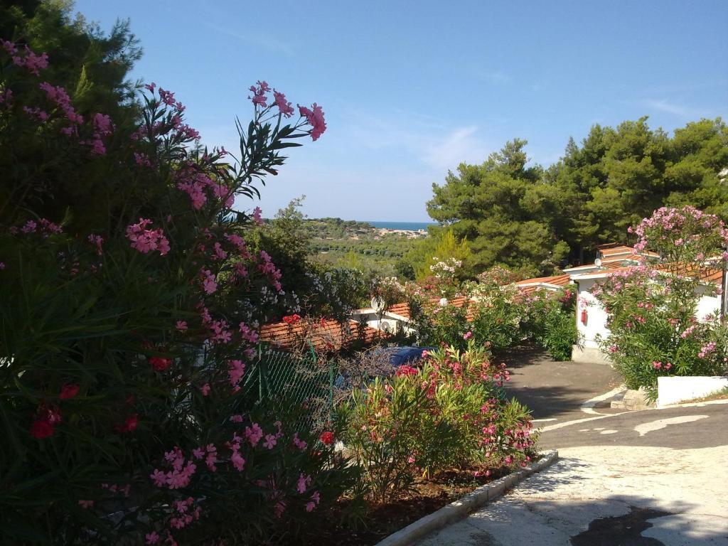 Villaggio Club Baia Di Paradiso Aldeamento Turístico