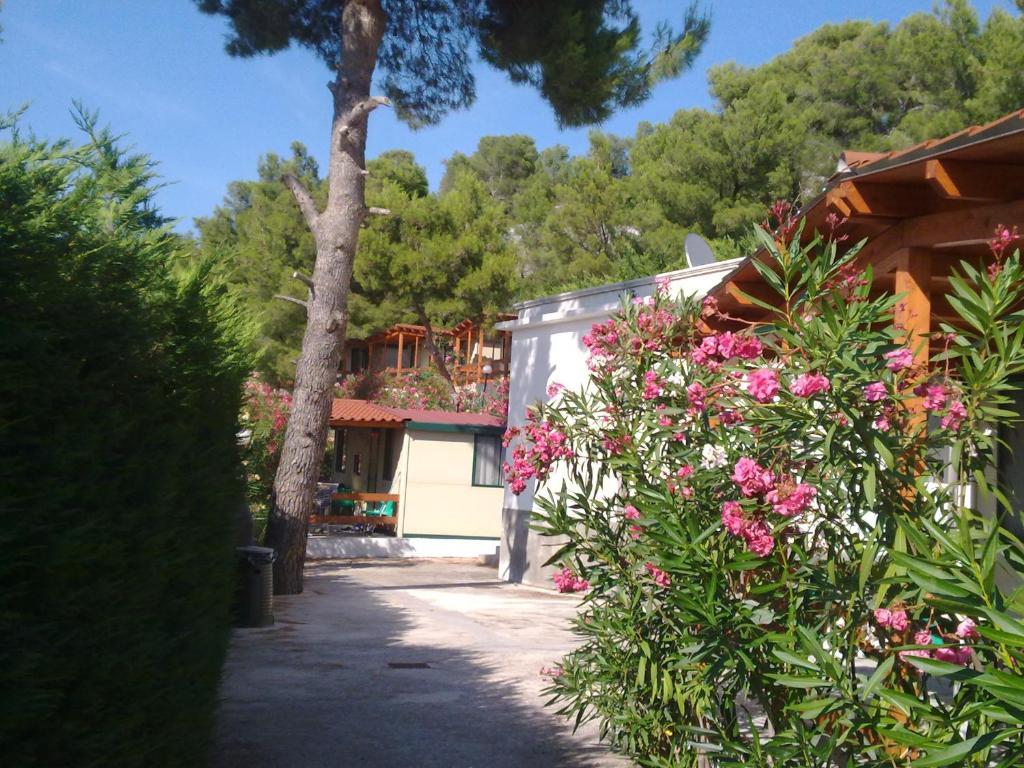 Villaggio Club Baia Di Paradiso Parco vacanze 3*